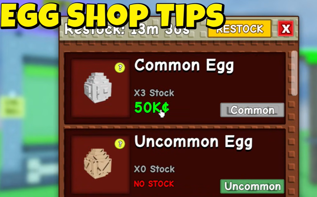 What to Buy First: A Strategic Shopping Guide