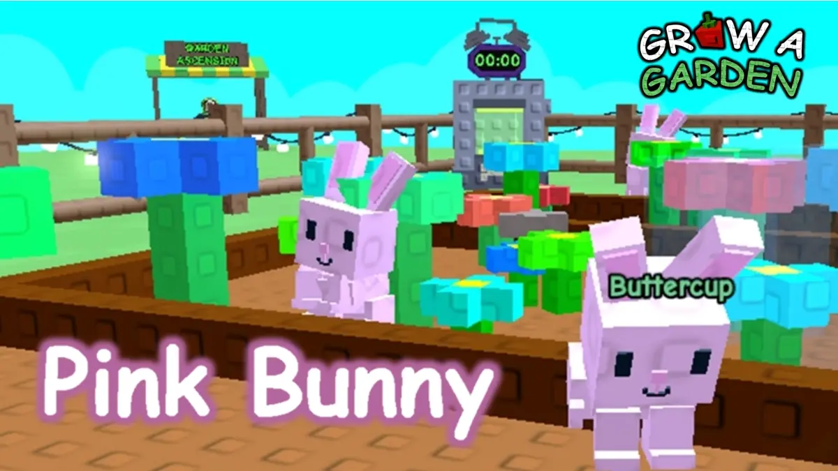 Pink Bunny Guide