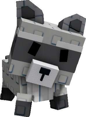 Raccoon, Divine Item from growagarden